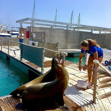 Дом отдыха Azure Калета-де-Фусте